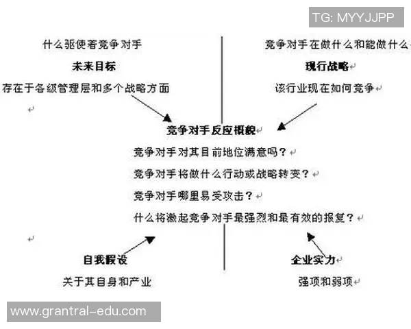 独家解析IG的影响力与竞争对手的实力对比分析