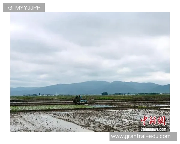 南京篮球队配合表现的数据分析与战术研究探讨