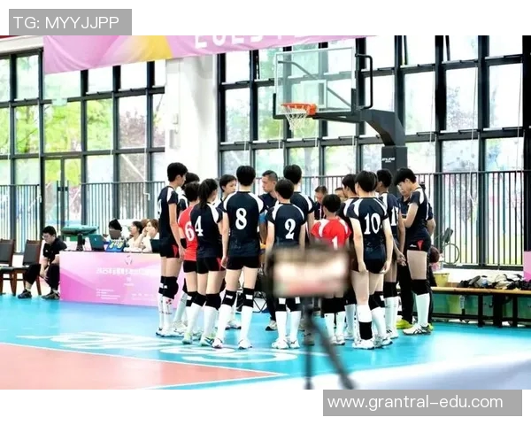 排球盛宴：深入解析上海排球队的战术与技术创新之路