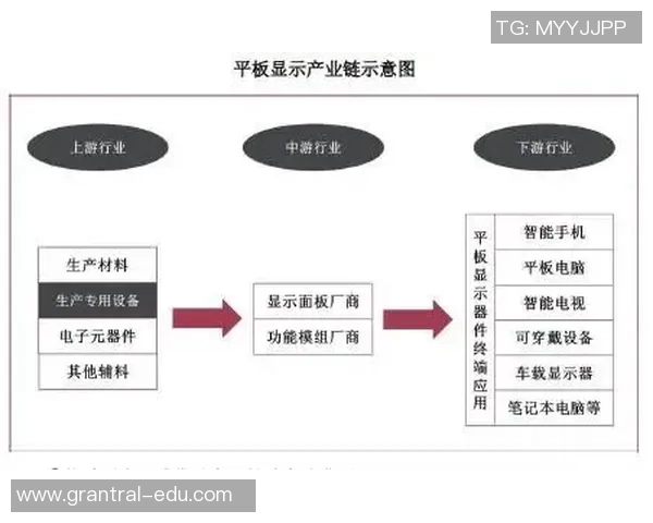 杭州足球队逆袭之路揭秘城市联赛背后的奋斗与荣耀