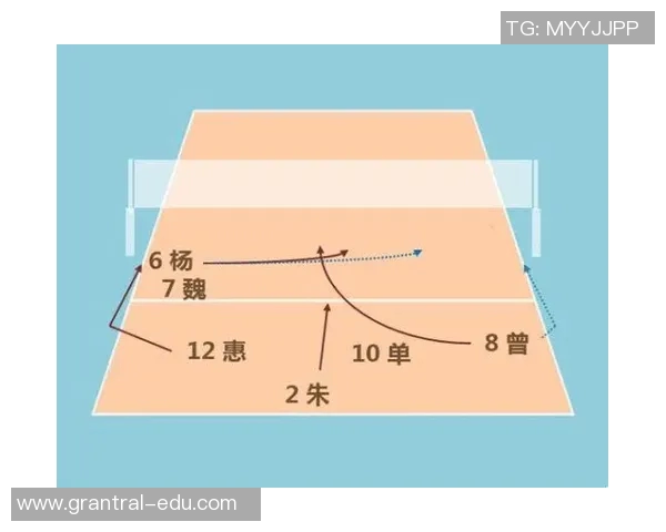 西安排球队反击战术解析与成败因素探讨 西安排球队反击战术解析与成败因素探讨