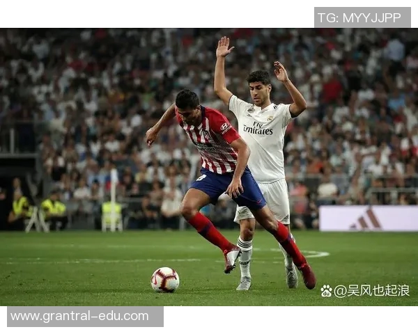 西班牙足球明星的辉煌历程与成就解析