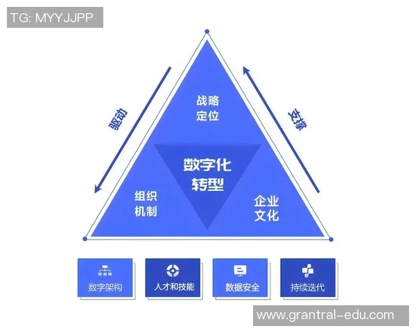 西安羽毛球队转型之路：从传统强队到现代竞技新模式的深度解析