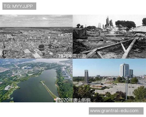 重庆排球队的崛起之路：全国锦标赛背后的奋斗与坚持