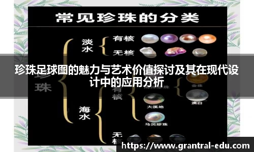珍珠足球图的魅力与艺术价值探讨及其在现代设计中的应用分析